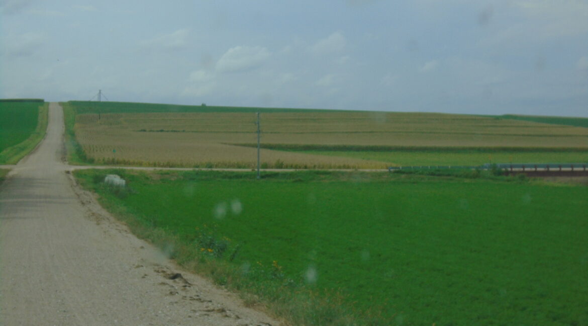 DSC03518
