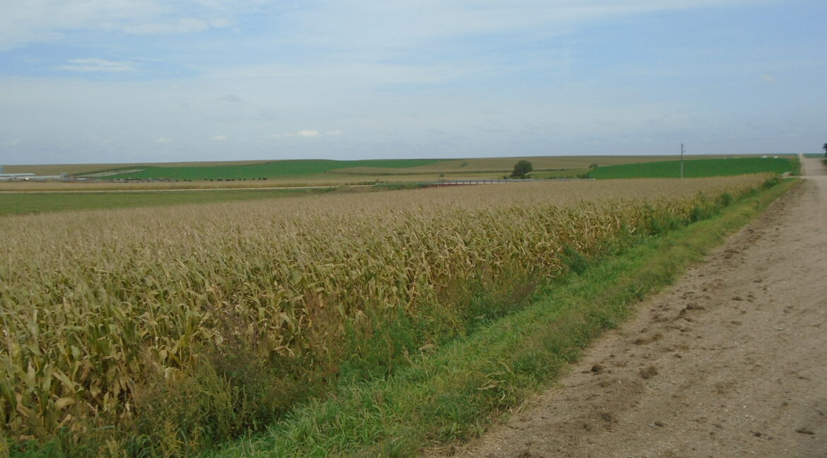 DSC03522